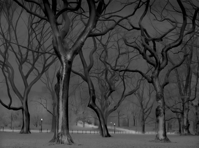Sildgier Hill - Central Park / Michael Massaia