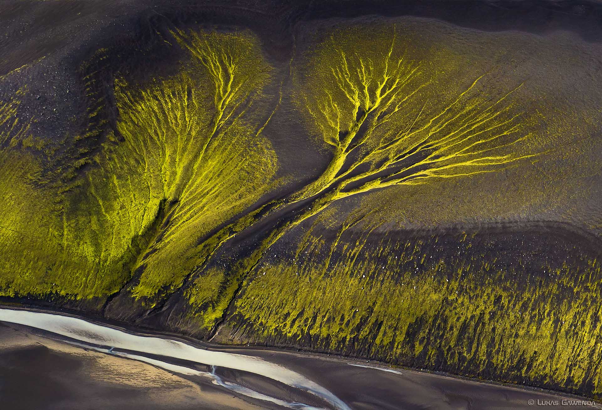 Baum der Wildness - Aerial Island - Lukas Gawenda
