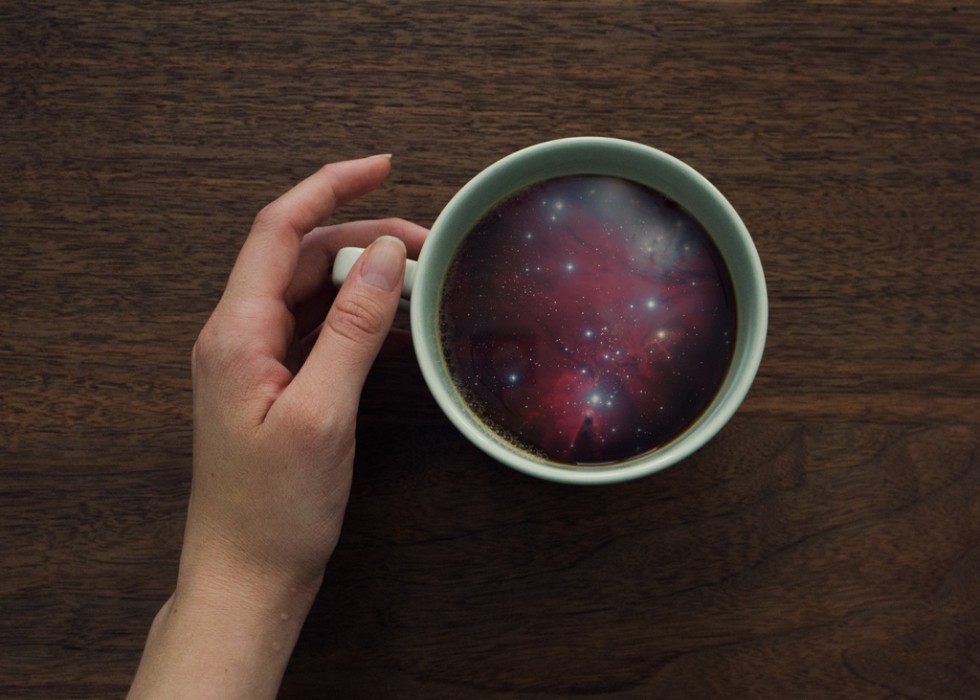 Morning Microcosm - Victoria Siemer