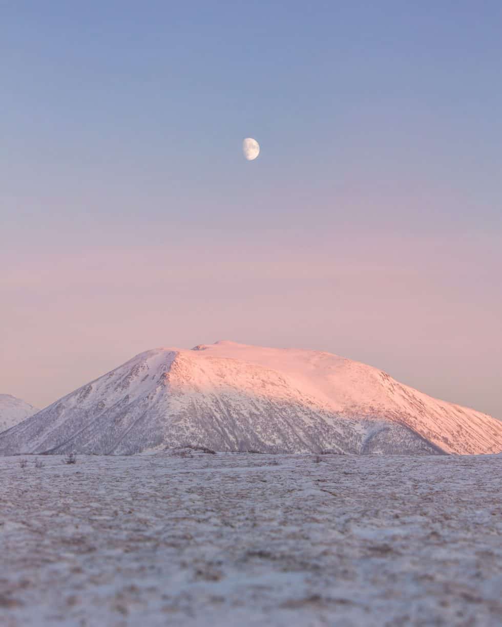Moments with the moon (c) Bjørg-Elise Tuppen