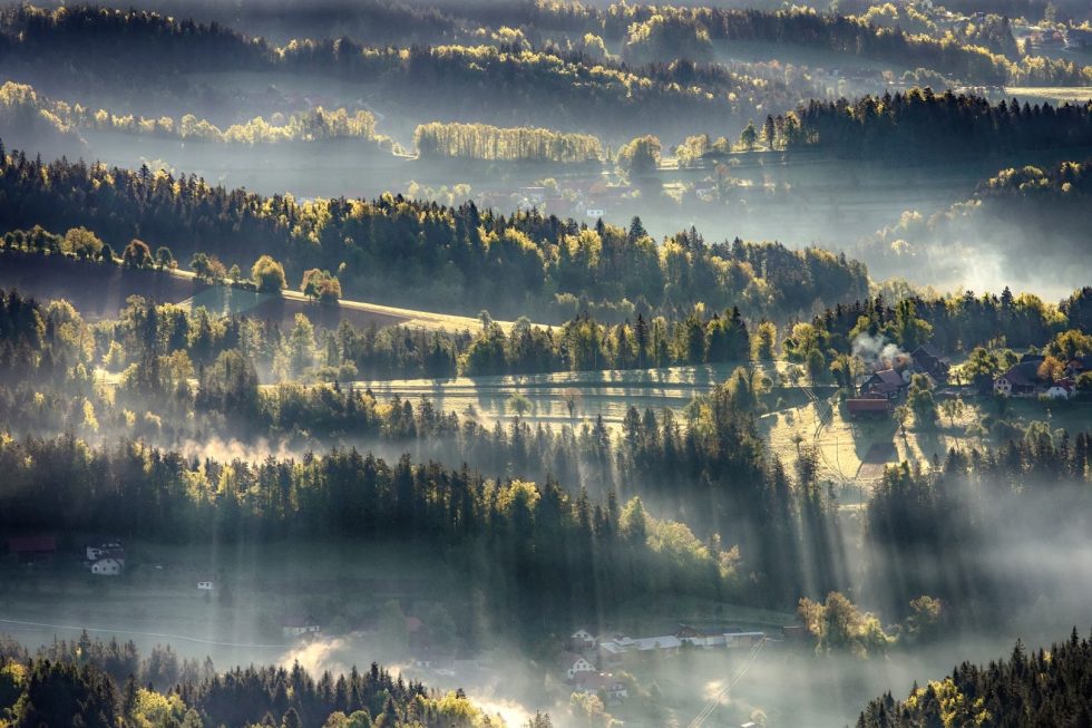 Best Painter (c) Filip Eremita